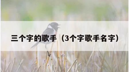 三个字的歌手（3个字歌手名字）