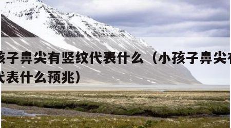 小孩子鼻尖有竖纹代表什么（小孩子鼻尖有竖纹代表什么预兆）