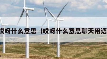 哎呀什么意思（哎呀什么意思聊天用语）
