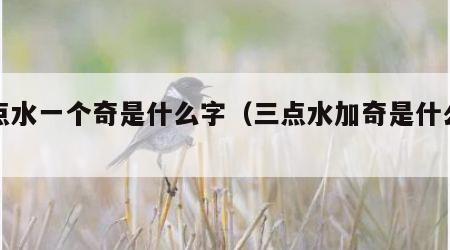 三点水一个奇是什么字（三点水加奇是什么字）