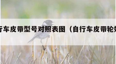 自行车皮带型号对照表图（自行车皮带轮好吗）