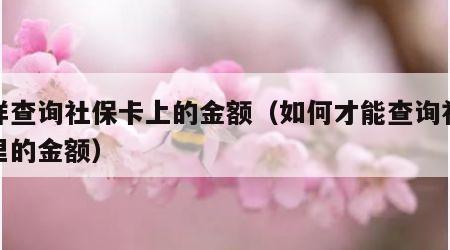 怎样查询社保卡上的金额（如何才能查询社保卡里的金额）