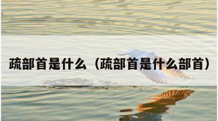 疏部首是什么（疏部首是什么部首）