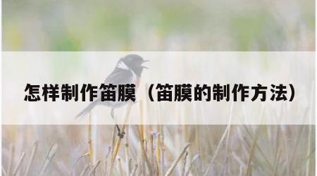 怎样制作笛膜（笛膜的制作方法）