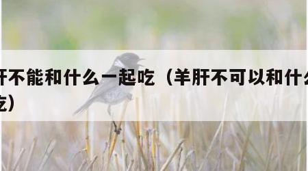 羊肝不能和什么一起吃（羊肝不可以和什么一起吃）