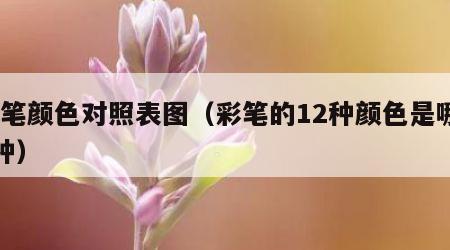 彩笔颜色对照表图（彩笔的12种颜色是哪12种）