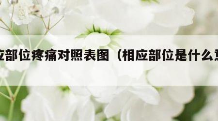 相应部位疼痛对照表图（相应部位是什么意思）