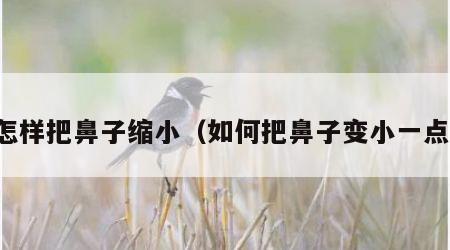 怎样把鼻子缩小（如何把鼻子变小一点）