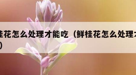 鲜桂花怎么处理才能吃（鲜桂花怎么处理才能吃?）
