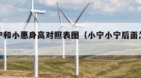 小宁和小惠身高对照表图（小宁小宁后面怎么接）