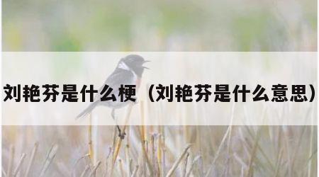 刘艳芬是什么梗（刘艳芬是什么意思）