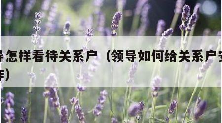 领导怎样看待关系户（领导如何给关系户安排工作）