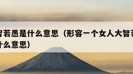 大智若愚是什么意思（形容一个女人大智若愚是什么意思）