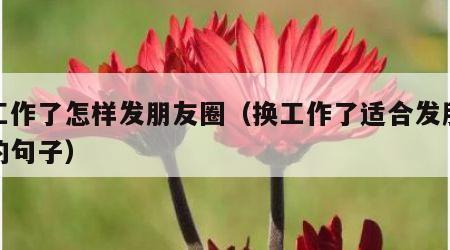 换工作了怎样发朋友圈（换工作了适合发朋友圈的句子）