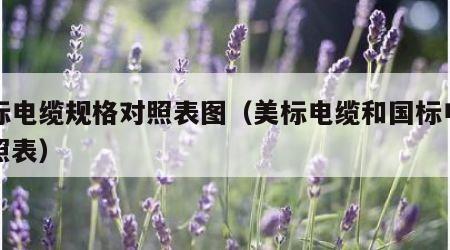 美标电缆规格对照表图（美标电缆和国标电缆对照表）