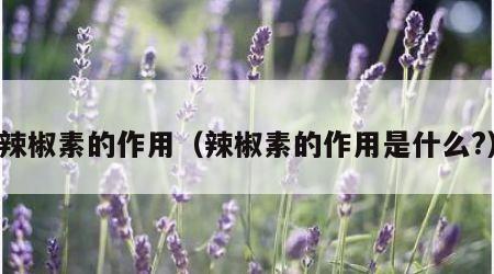 辣椒素的作用（辣椒素的作用是什么?）