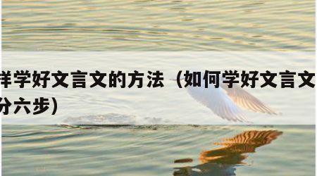怎样学好文言文的方法（如何学好文言文?一般分六步）