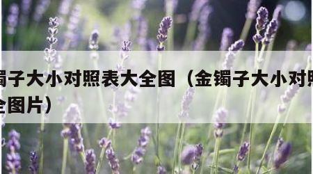 金镯子大小对照表大全图（金镯子大小对照表大全图片）