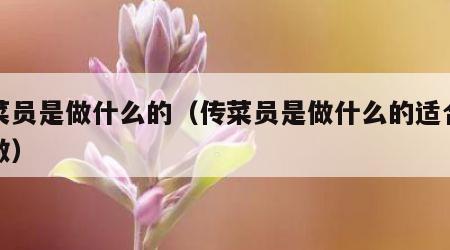 传菜员是做什么的（传菜员是做什么的适合女生做）