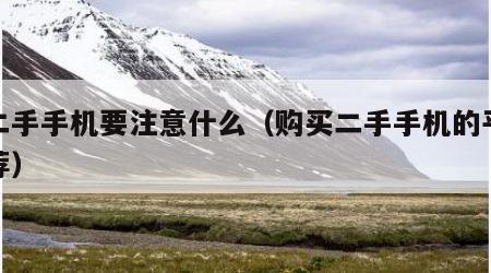 买二手手机要注意什么（购买二手手机的平台推荐）