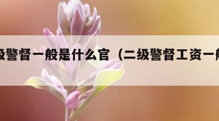 二级警督一般是什么官（二级警督工资一般多少）