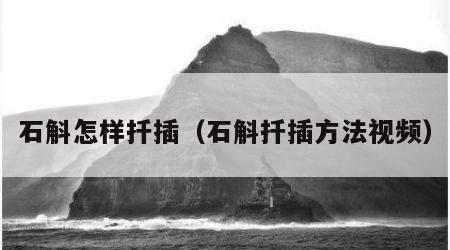 石斛怎样扦插（石斛扦插方法视频）