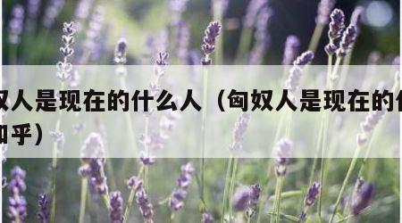 匈奴人是现在的什么人（匈奴人是现在的什么人知乎）