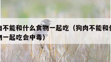 狗肉不能和什么食物一起吃（狗肉不能和什么食物一起吃会中毒）