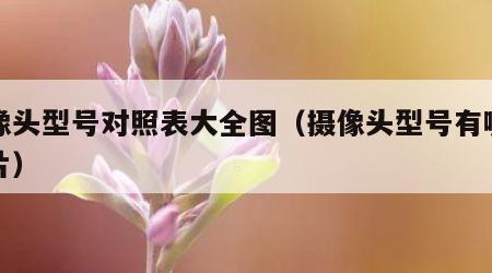 摄像头型号对照表大全图（摄像头型号有哪些图片）