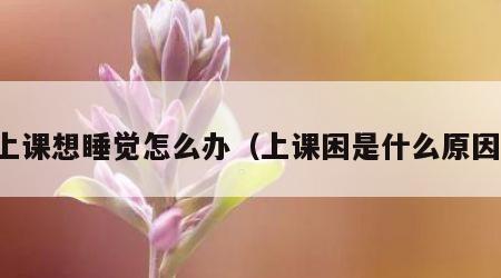 上课想睡觉怎么办（上课困是什么原因）