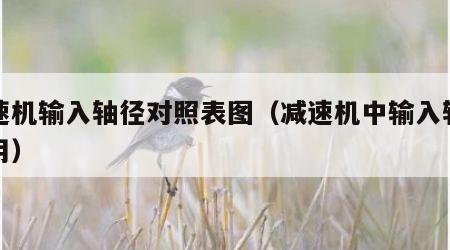 减速机输入轴径对照表图（减速机中输入轴的作用）