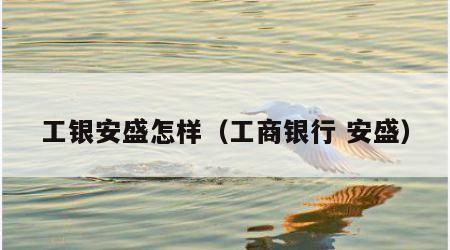 工银安盛怎样（工商银行 安盛）