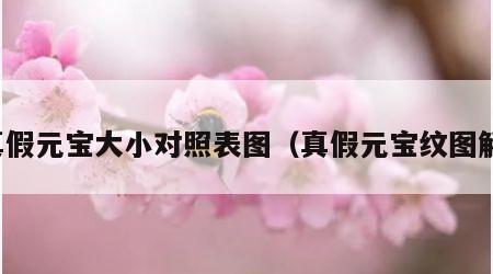 真假元宝大小对照表图（真假元宝纹图解）