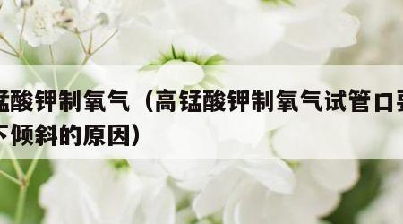 高锰酸钾制氧气（高锰酸钾制氧气试管口要略向下倾斜的原因）