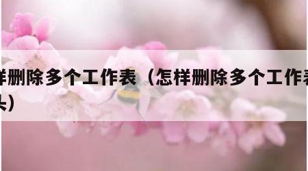 怎样删除多个工作表（怎样删除多个工作表的表头）