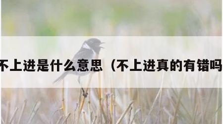 不上进是什么意思（不上进真的有错吗）