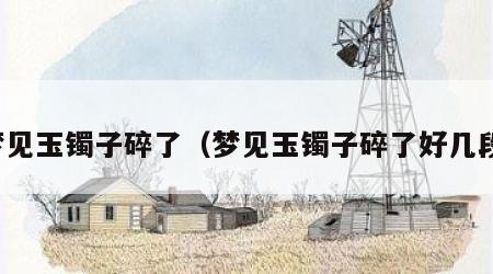 梦见玉镯子碎了（梦见玉镯子碎了好几段）