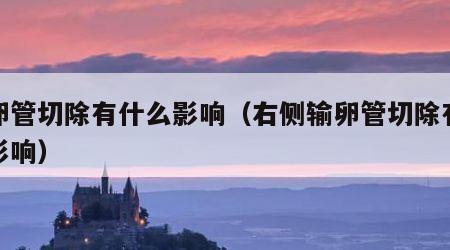 输卵管切除有什么影响（右侧输卵管切除有什么影响）