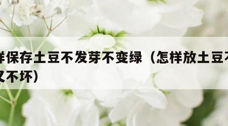 怎样保存土豆不发芽不变绿（怎样放土豆不生芽又不坏）
