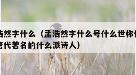 孟浩然字什么（孟浩然字什么号什么世称什么是唐代著名的什么派诗人）