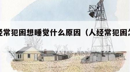 人经常犯困想睡觉什么原因（人经常犯困怎么办）