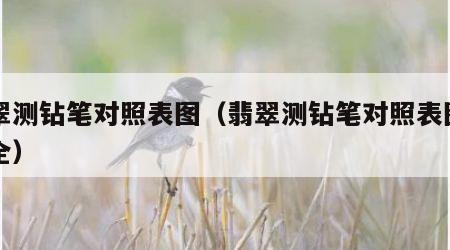 翡翠测钻笔对照表图（翡翠测钻笔对照表图片大全）
