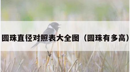 圆珠直径对照表大全图（圆珠有多高）
