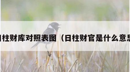 日柱财库对照表图（日柱财官是什么意思）