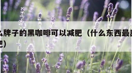 什么牌子的黑咖啡可以减肥（什么东西最刮油减肥）