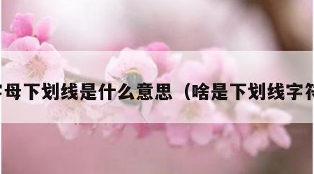 字母下划线是什么意思（啥是下划线字符）