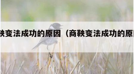 商鞅变法成功的原因（商鞅变法成功的原因3点）