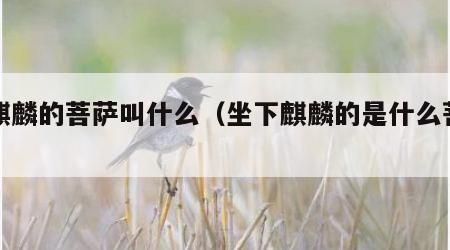 坐麒麟的菩萨叫什么（坐下麒麟的是什么菩萨）