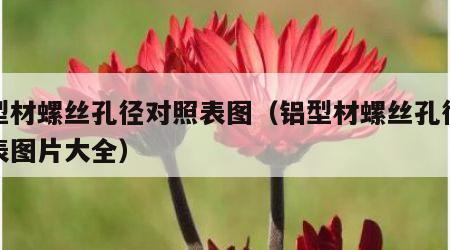 铝型材螺丝孔径对照表图（铝型材螺丝孔径对照表图片大全）