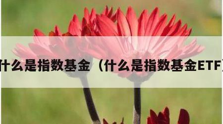 什么是指数基金（什么是指数基金ETF）